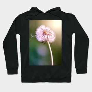 Dandelion Hoodie